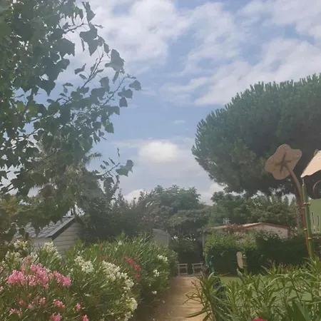 La L'ancre Du Grau D'agde A 800 M De La Mediterrannee *